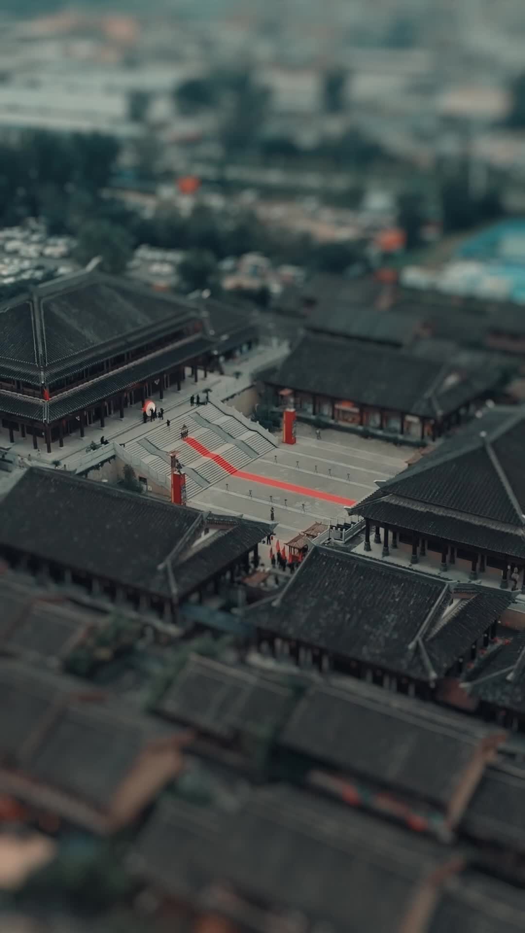 集 1