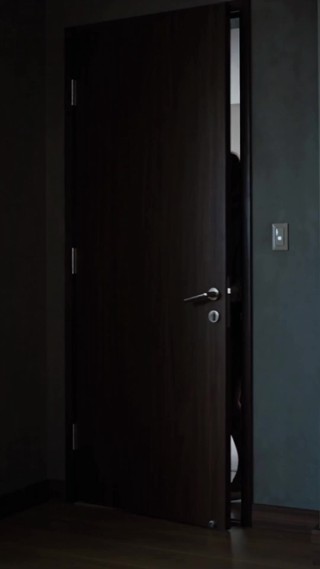 Episode 29