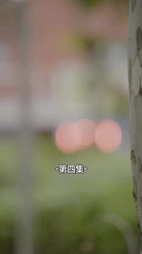 集 4