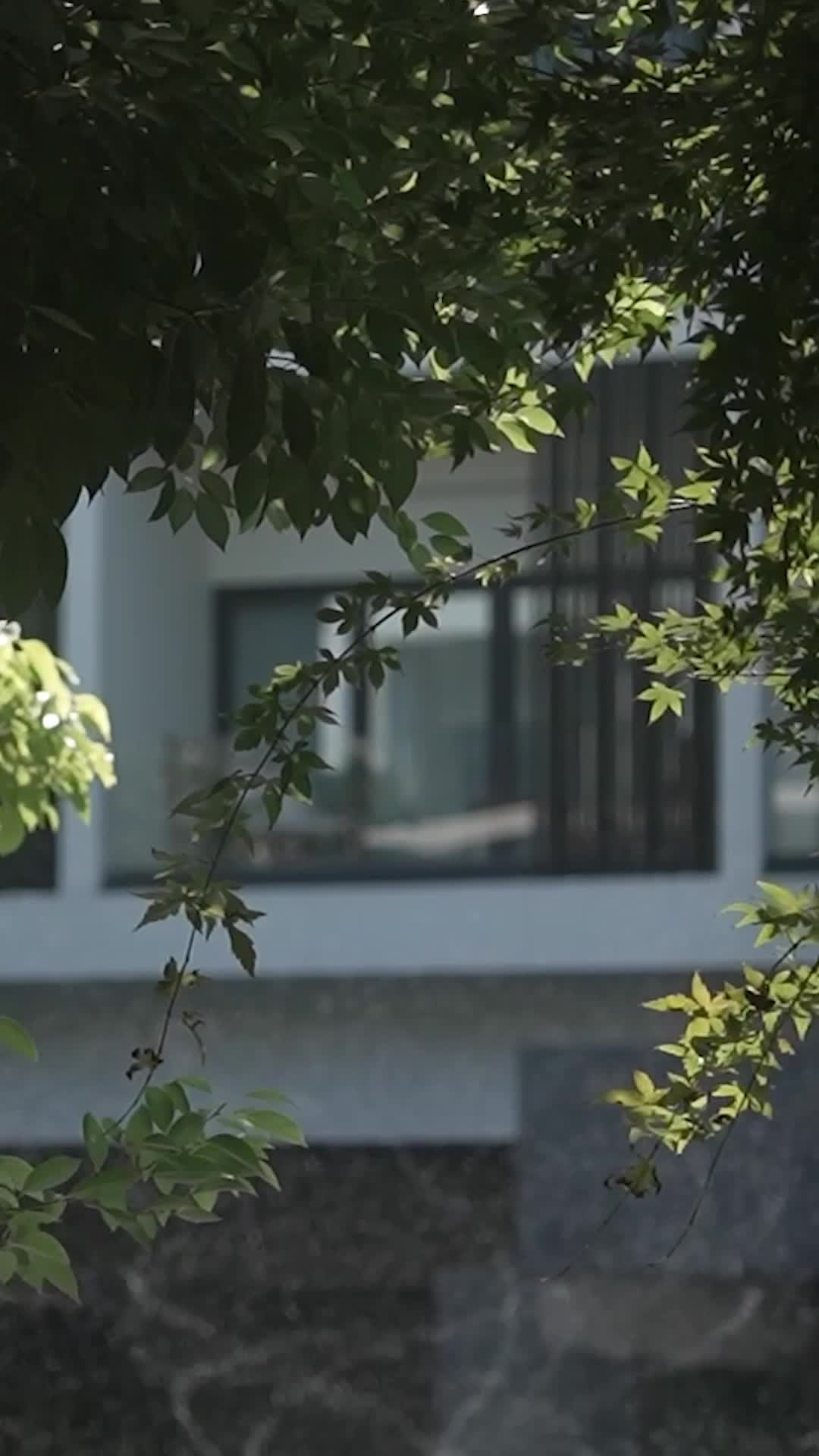 集 13