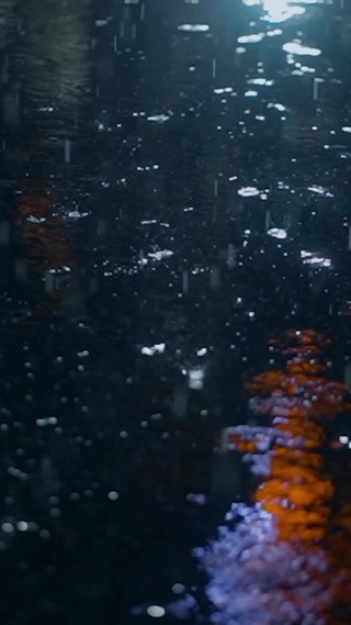 Épisode 12