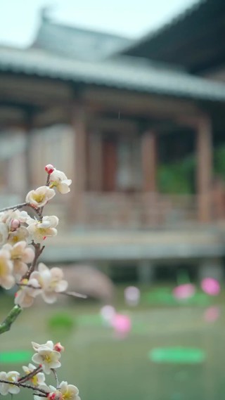 集 13