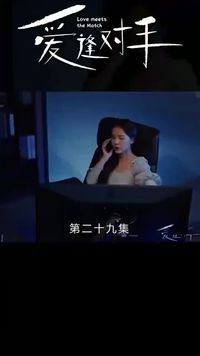 集 29
