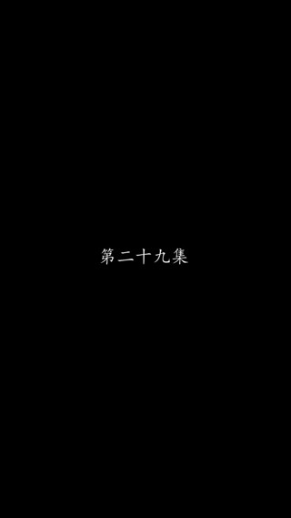 集 29