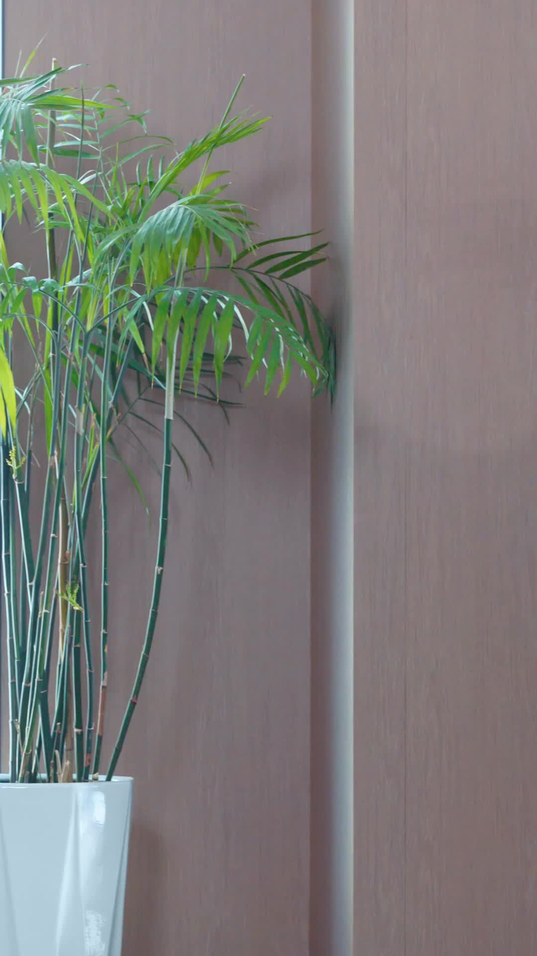 集 26