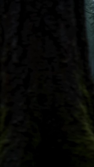 Episode 22