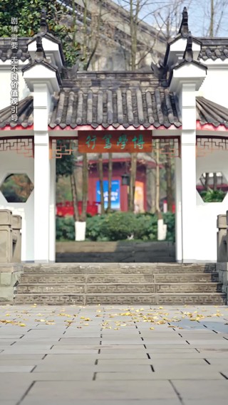 集 6