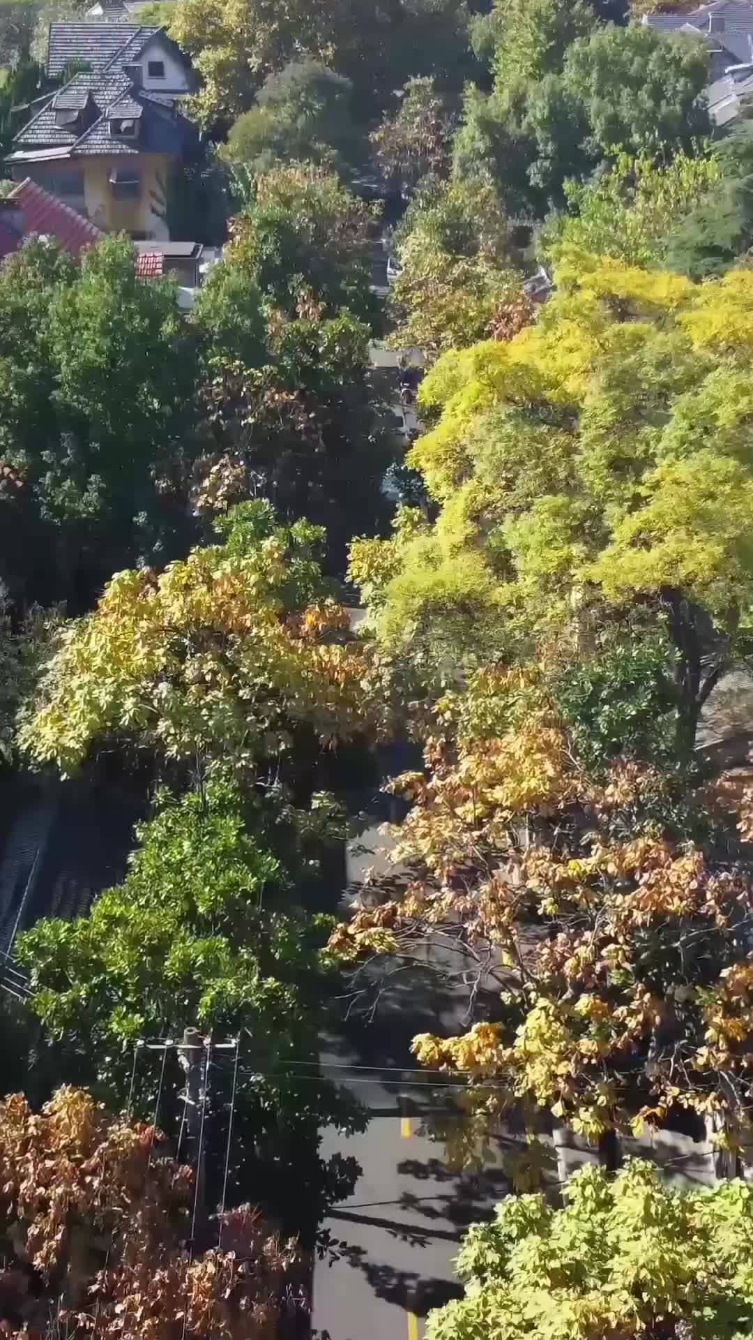 集 9