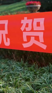 集 11
