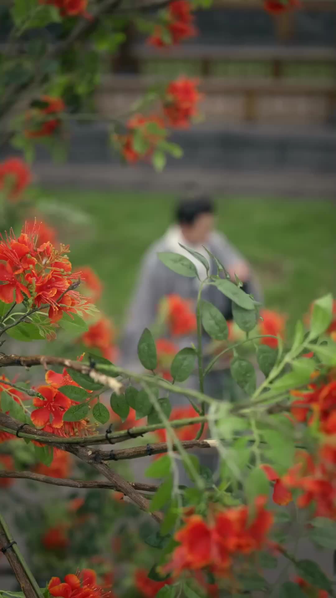 ตอนที่ 30