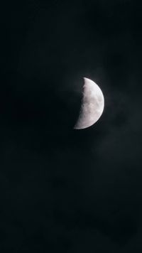 Épisode 11
