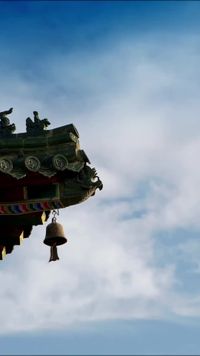 集 11