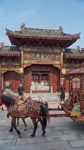 集 6
