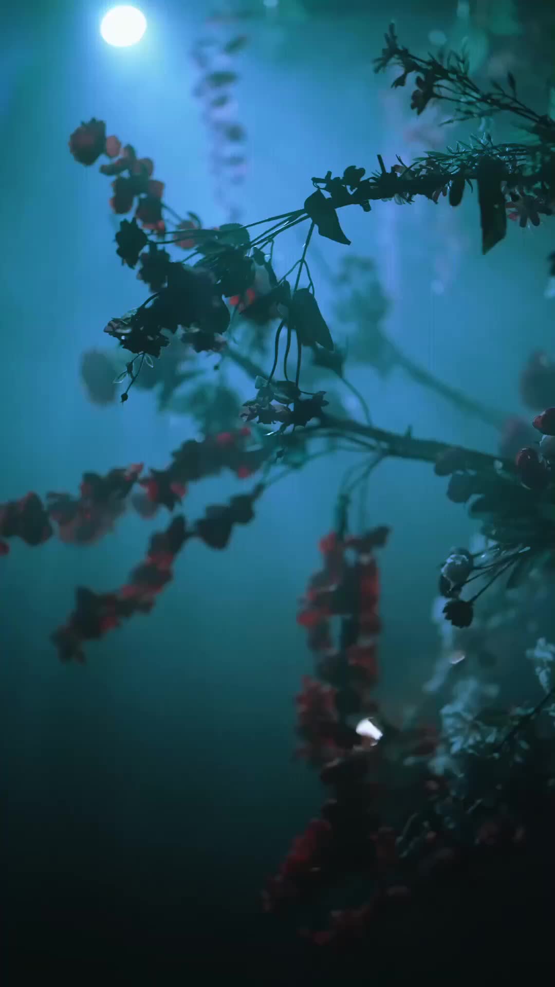 ตอนที่ 7