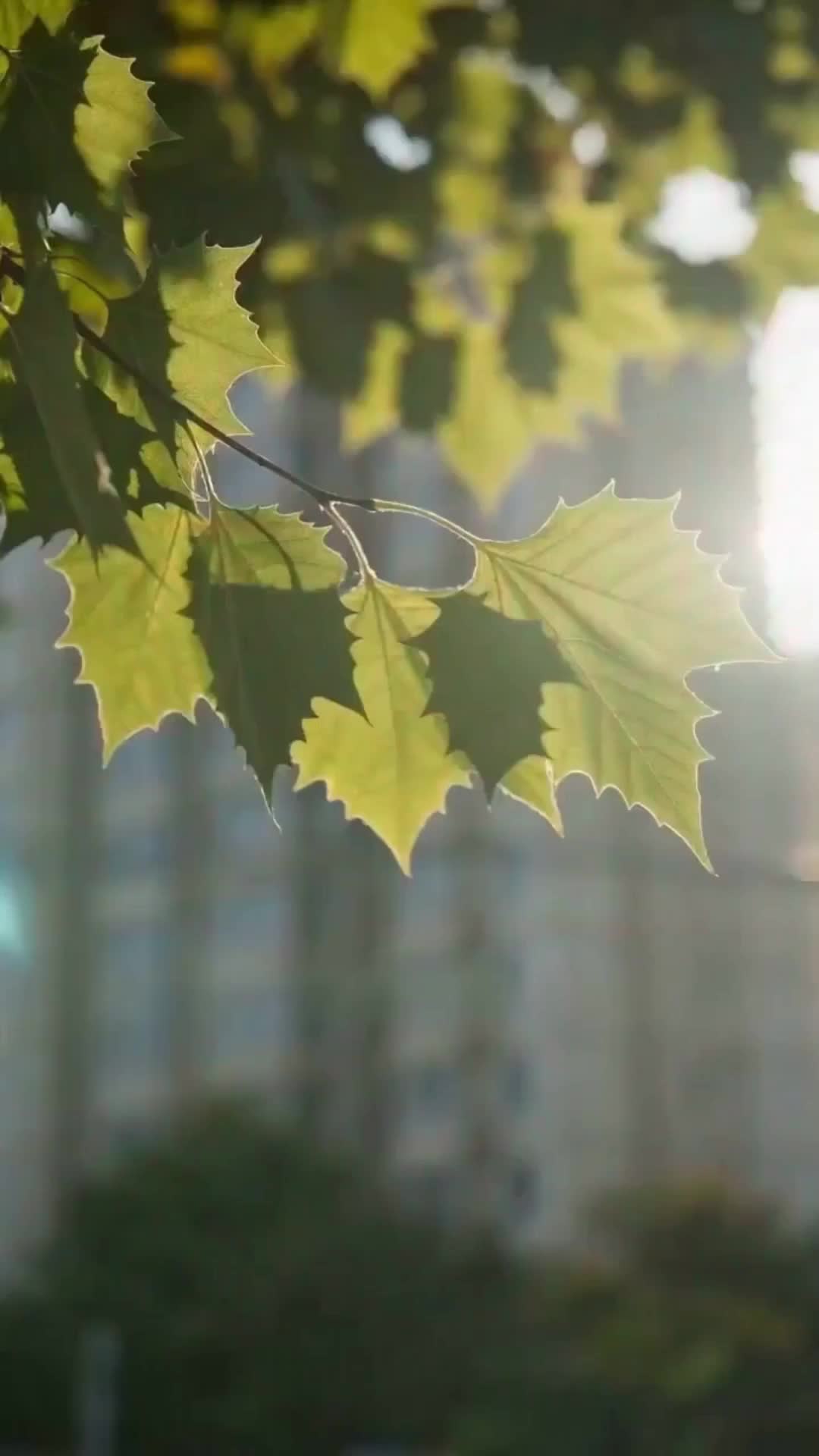 集 13