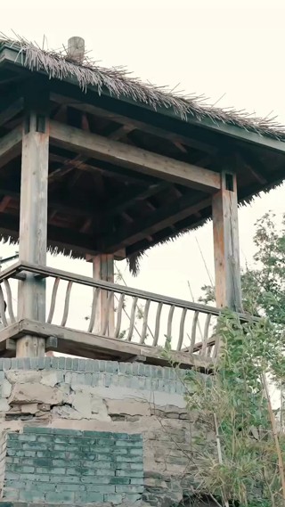 集 22