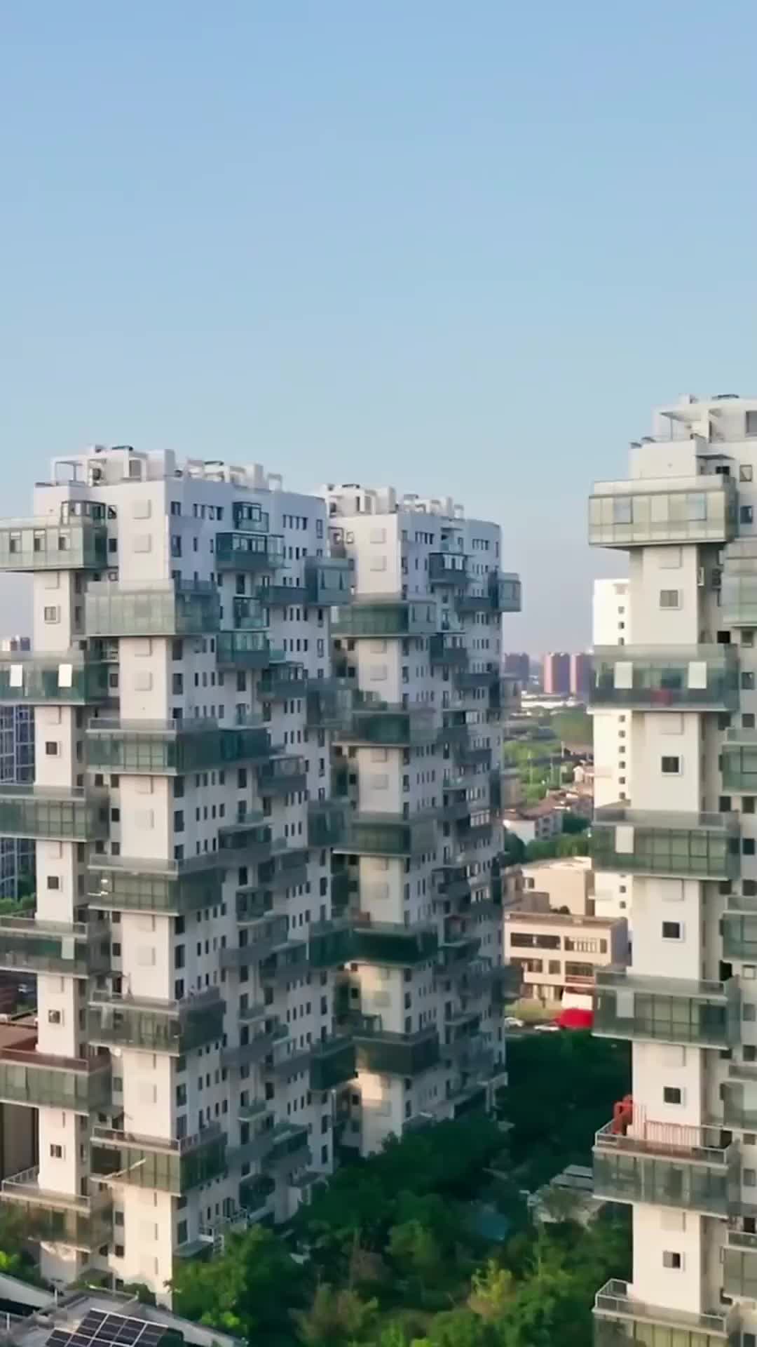 集 8