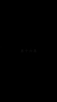 集 16