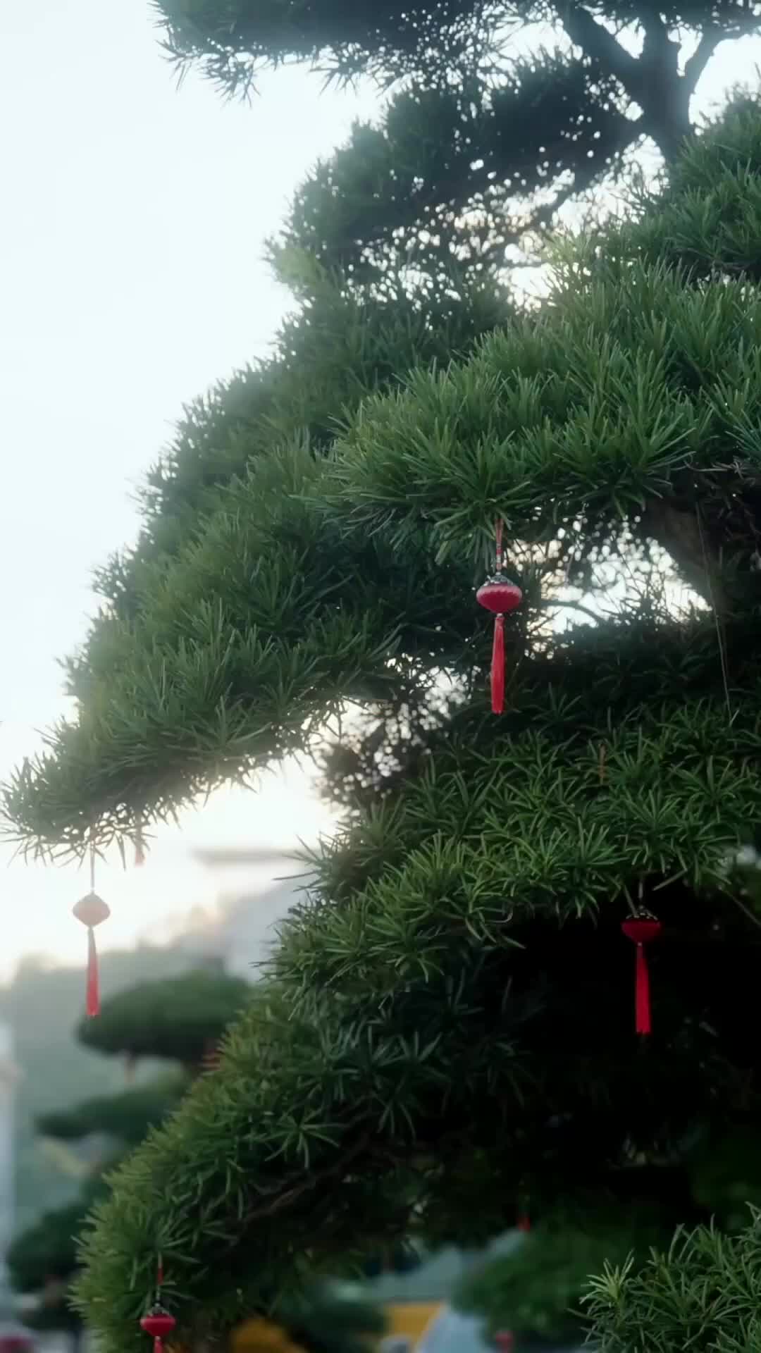 集 23