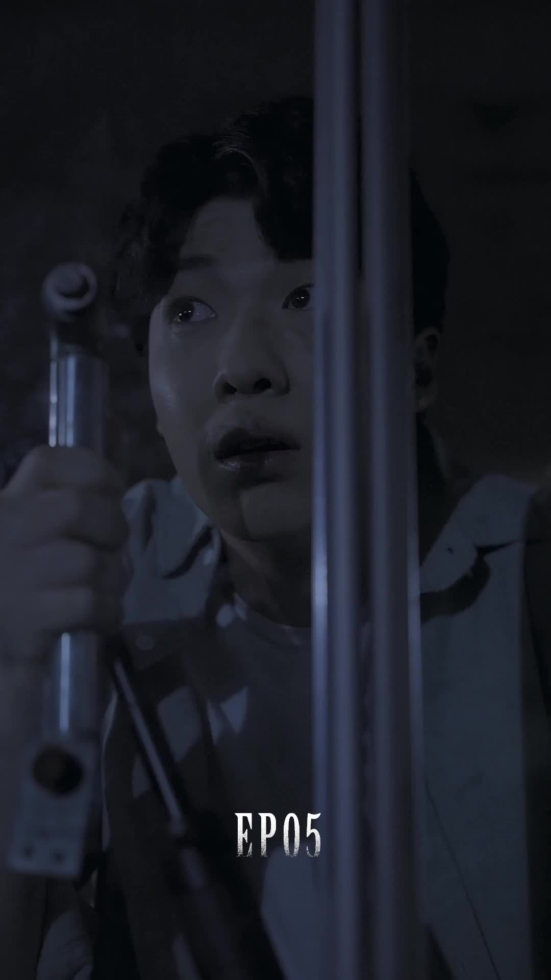 화 5