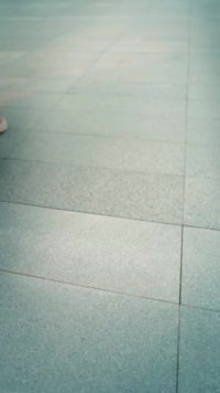集 1