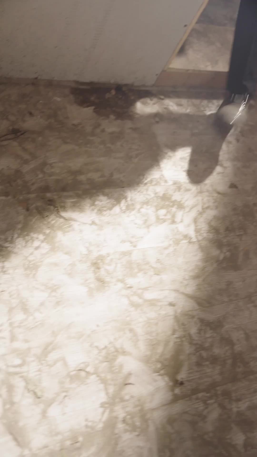 集 9
