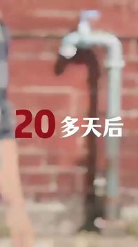 集 10