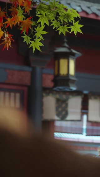 集 26