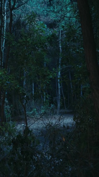 集 13