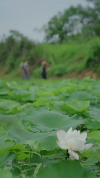 集 10