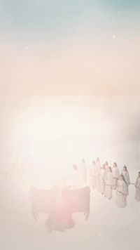 集 1