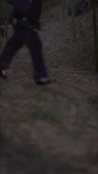 集 1