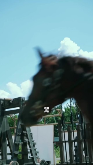 集 16