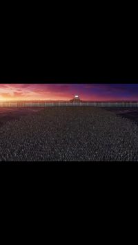 集 11