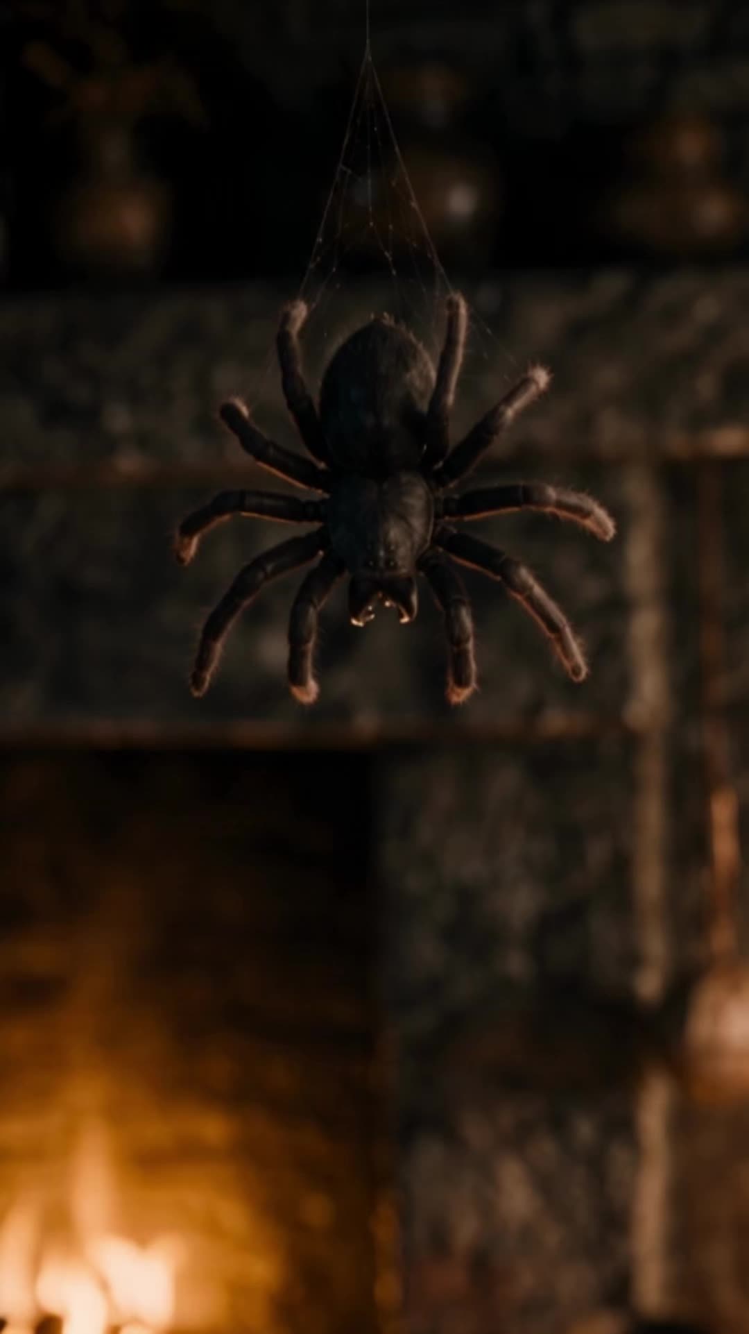 Episode 19