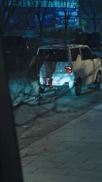 Episódio 5