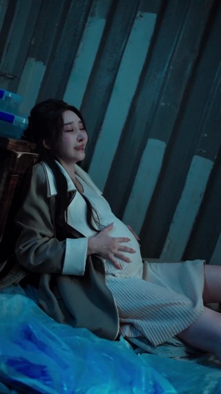 集 27