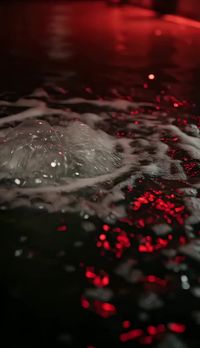 Episode 30