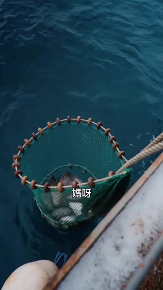 集 14