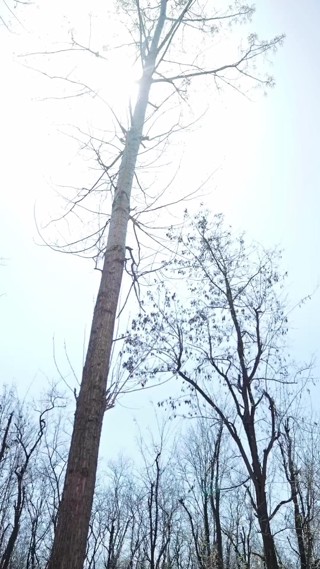 集 11