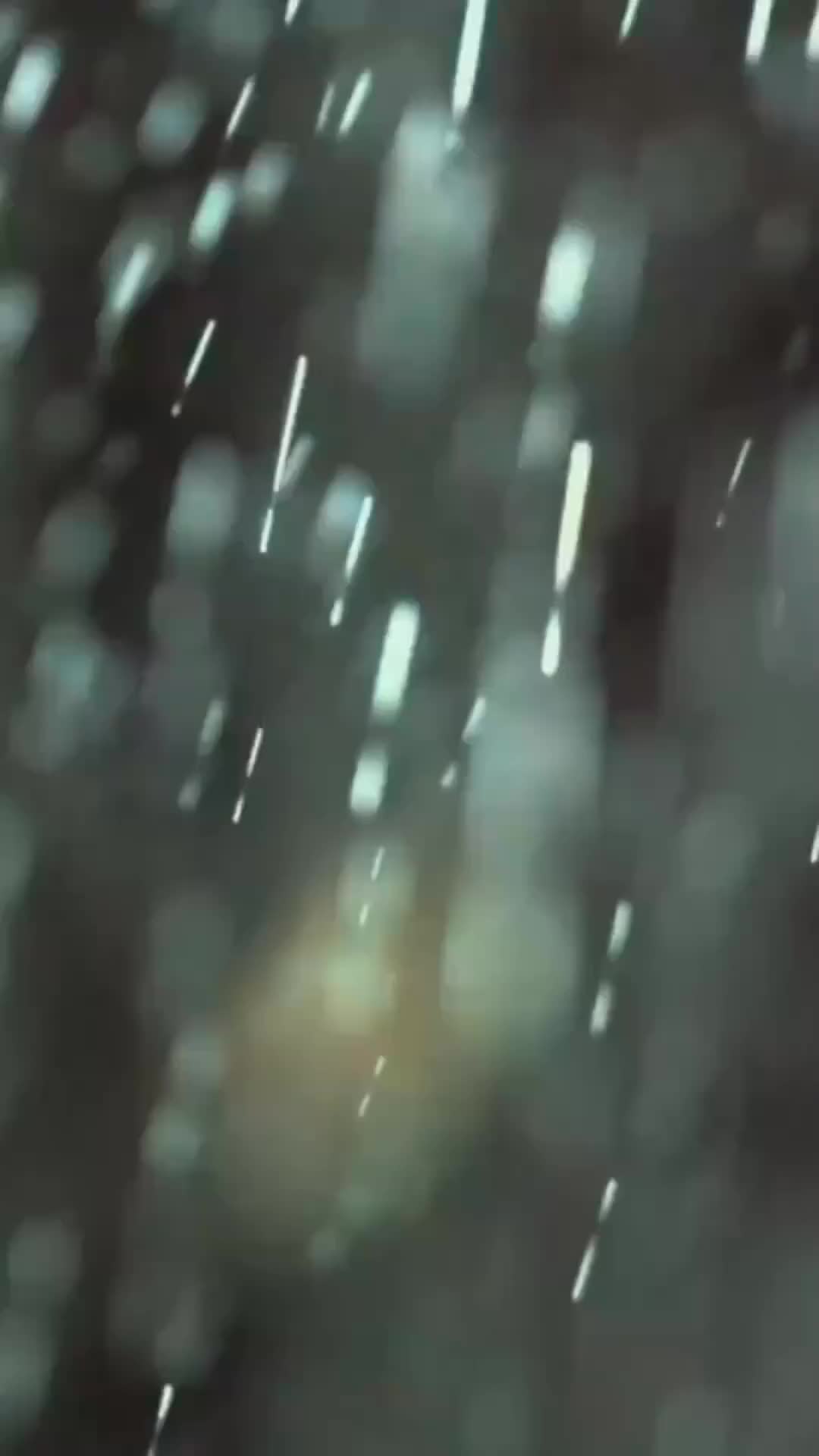 集 20