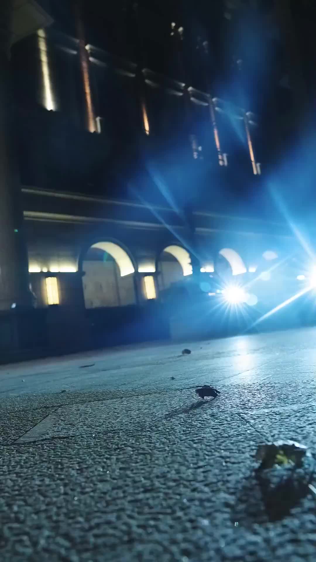 Episode 10