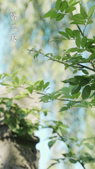 集 22