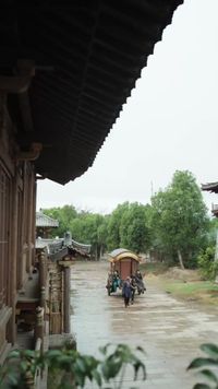 集 19