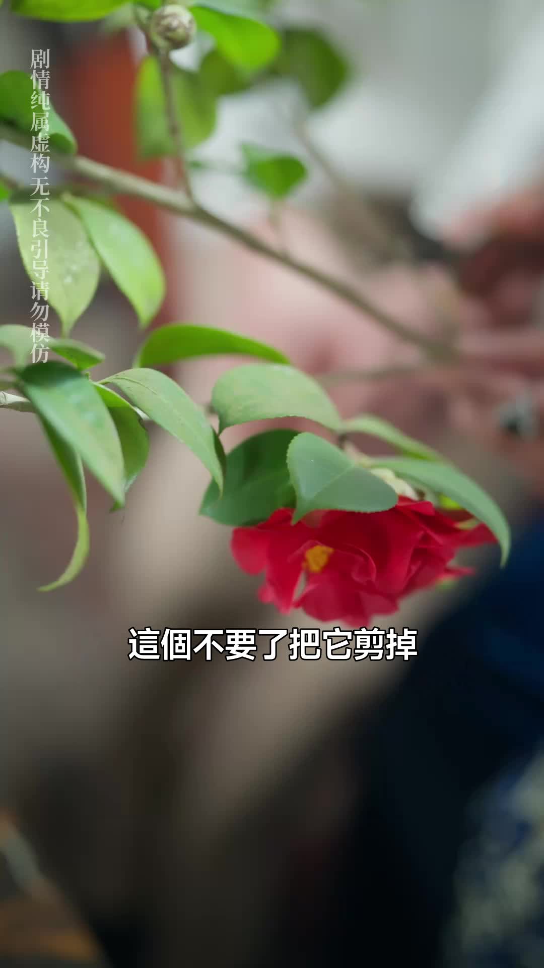 集 27