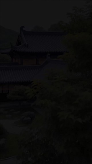 集 29