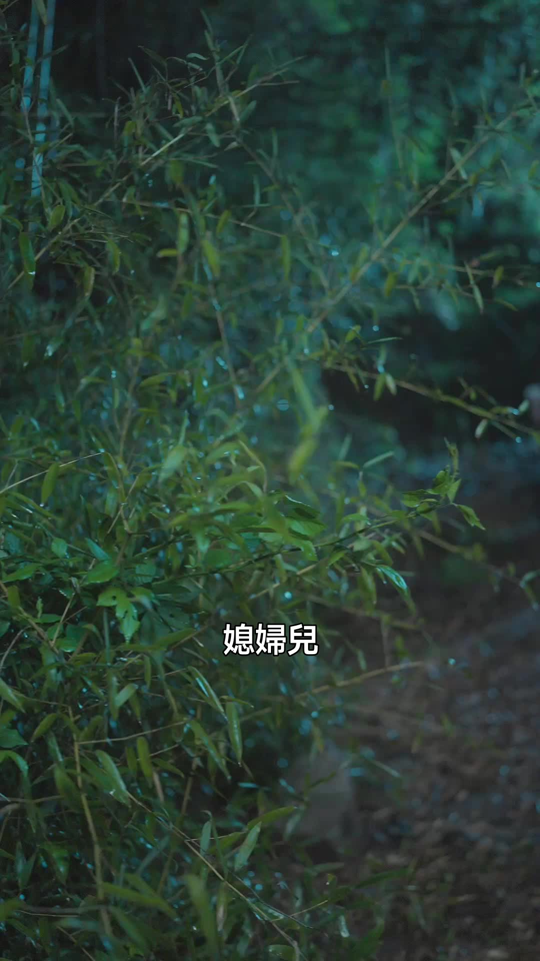 話 13