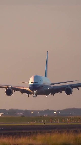 集 8