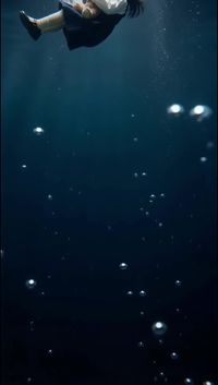 集 8