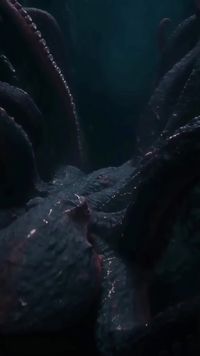 Episode 22